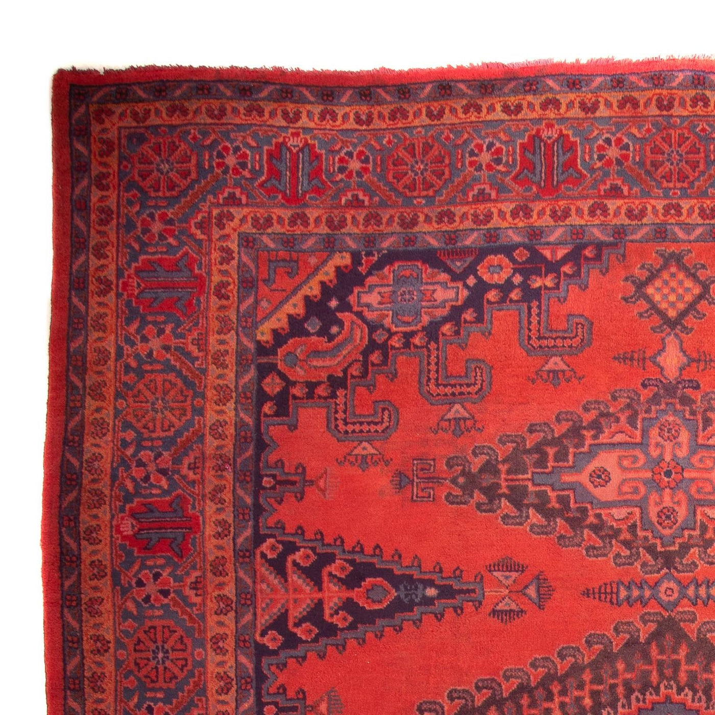 Wiss Dywan 335x225cm - Dywan perski
