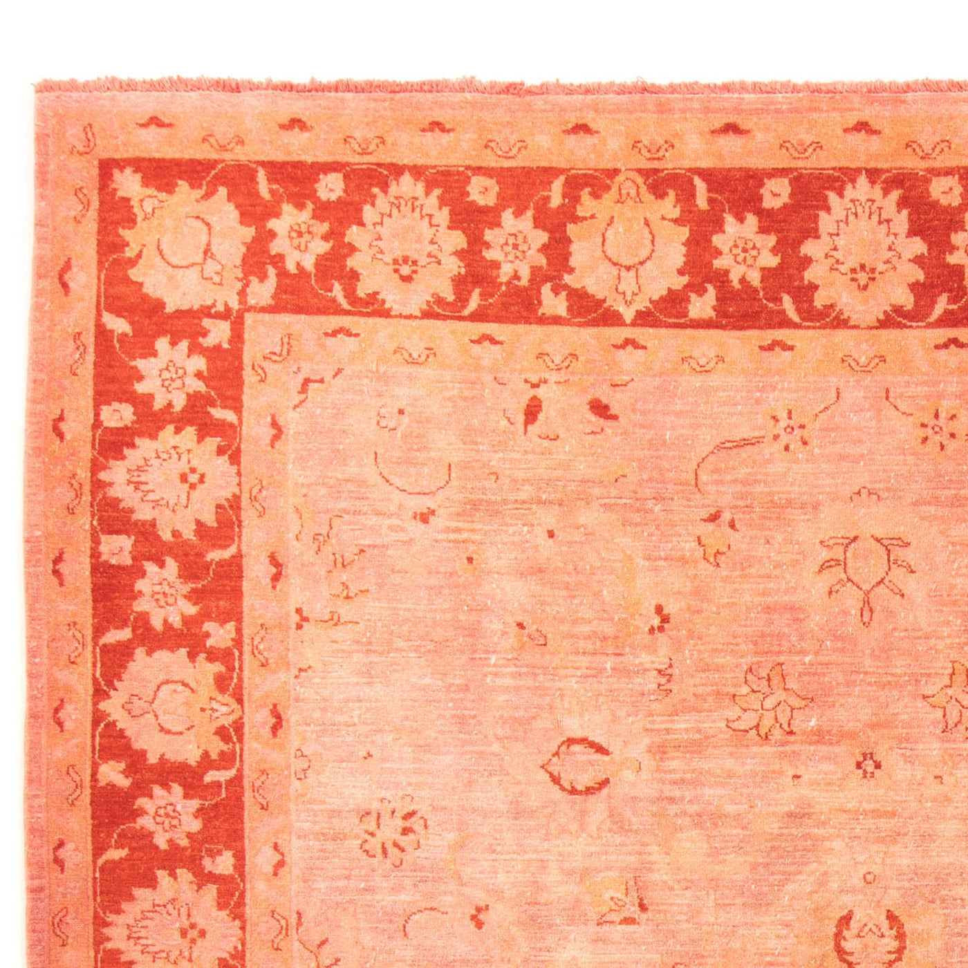 Dywan Zieglera 300x242cm - Dywan orientalny