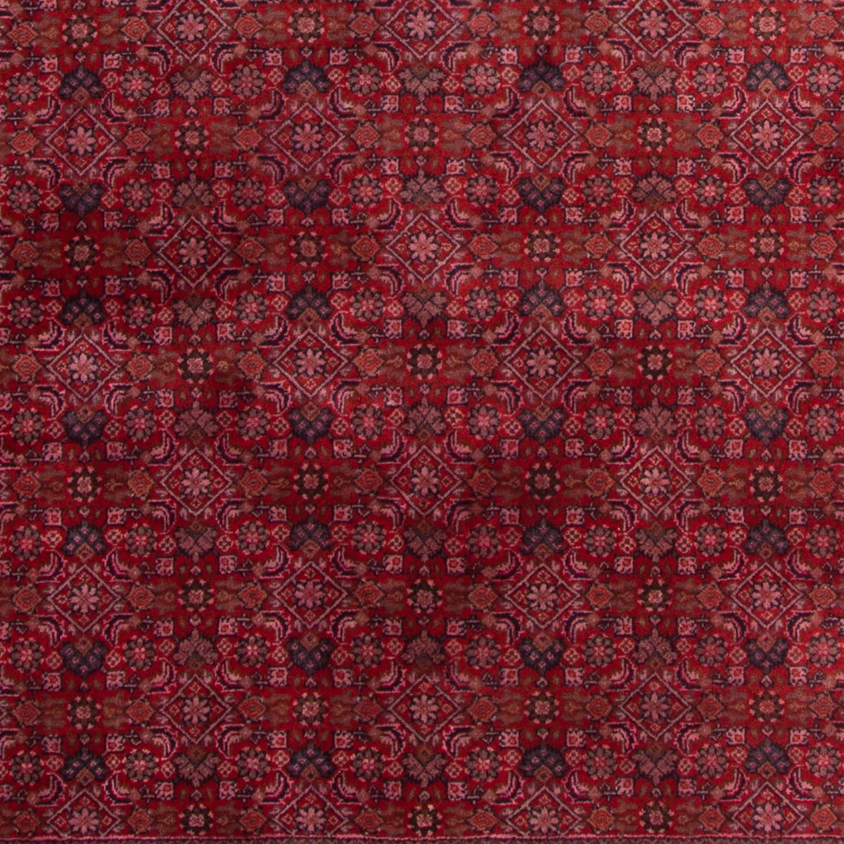 Orientalny dywan - Bijar - Indus - 300 x 200 cm - czerwony
