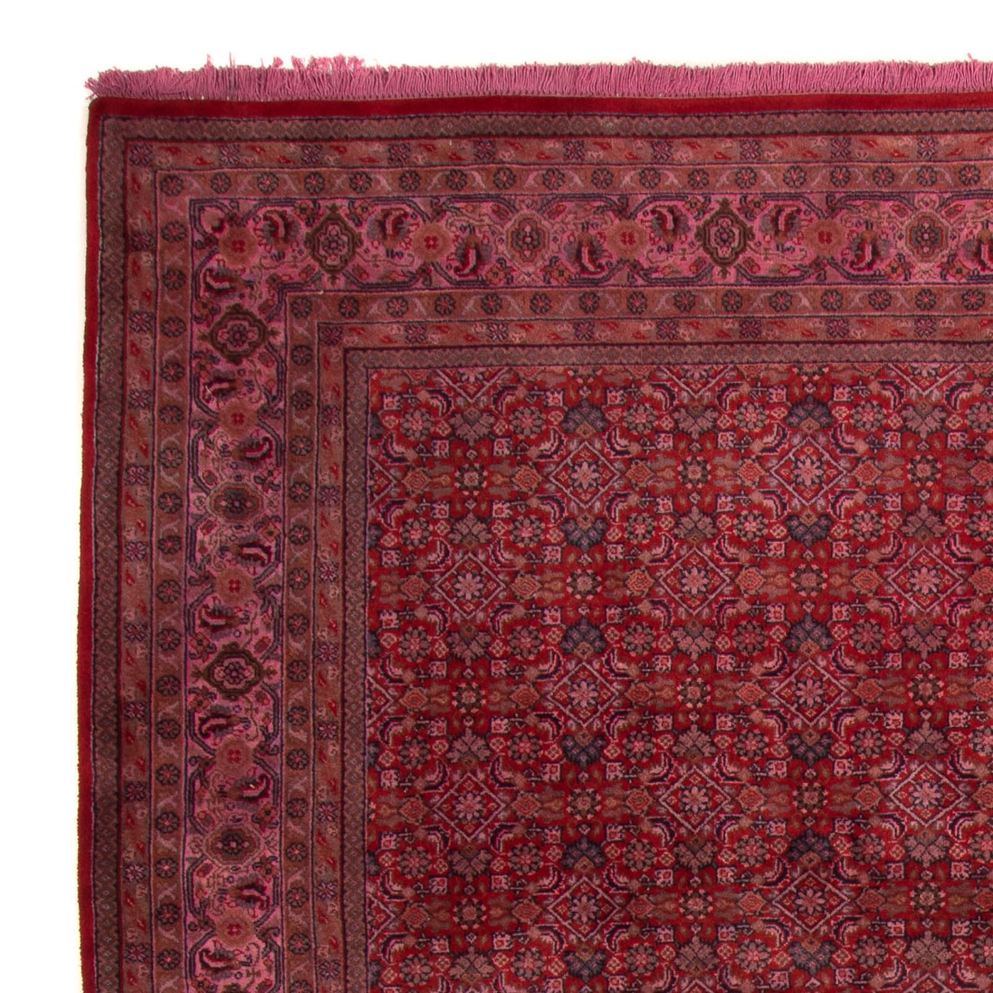 Indo Bidjar Dywan 300x200cm - Dywan orientalny