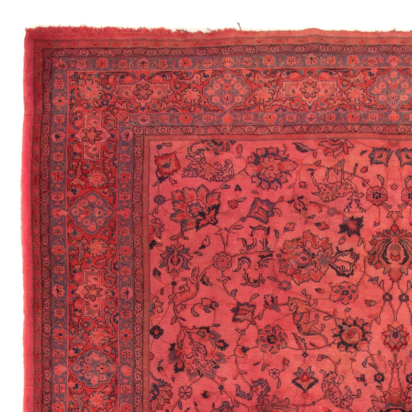 Sarouk Dywan 349x244cm - Dywan perski