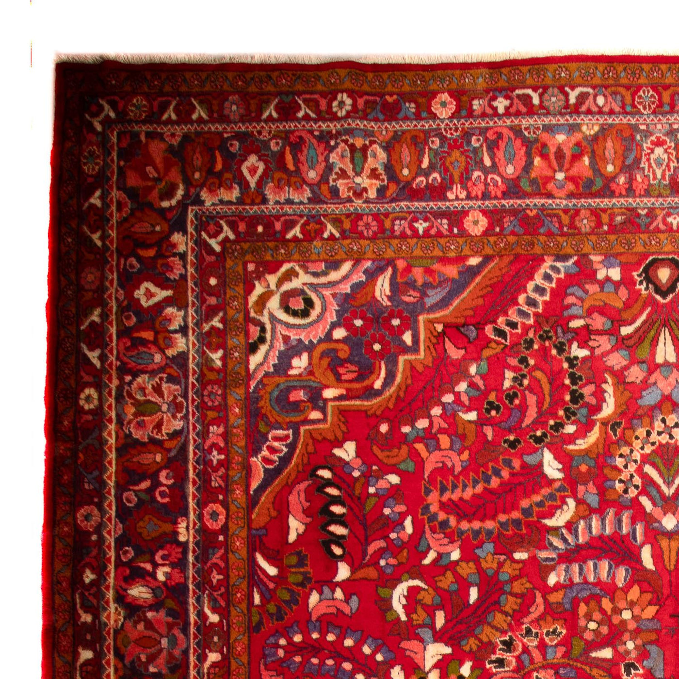 Lilian Dywan 460x326cm - Dywan perski