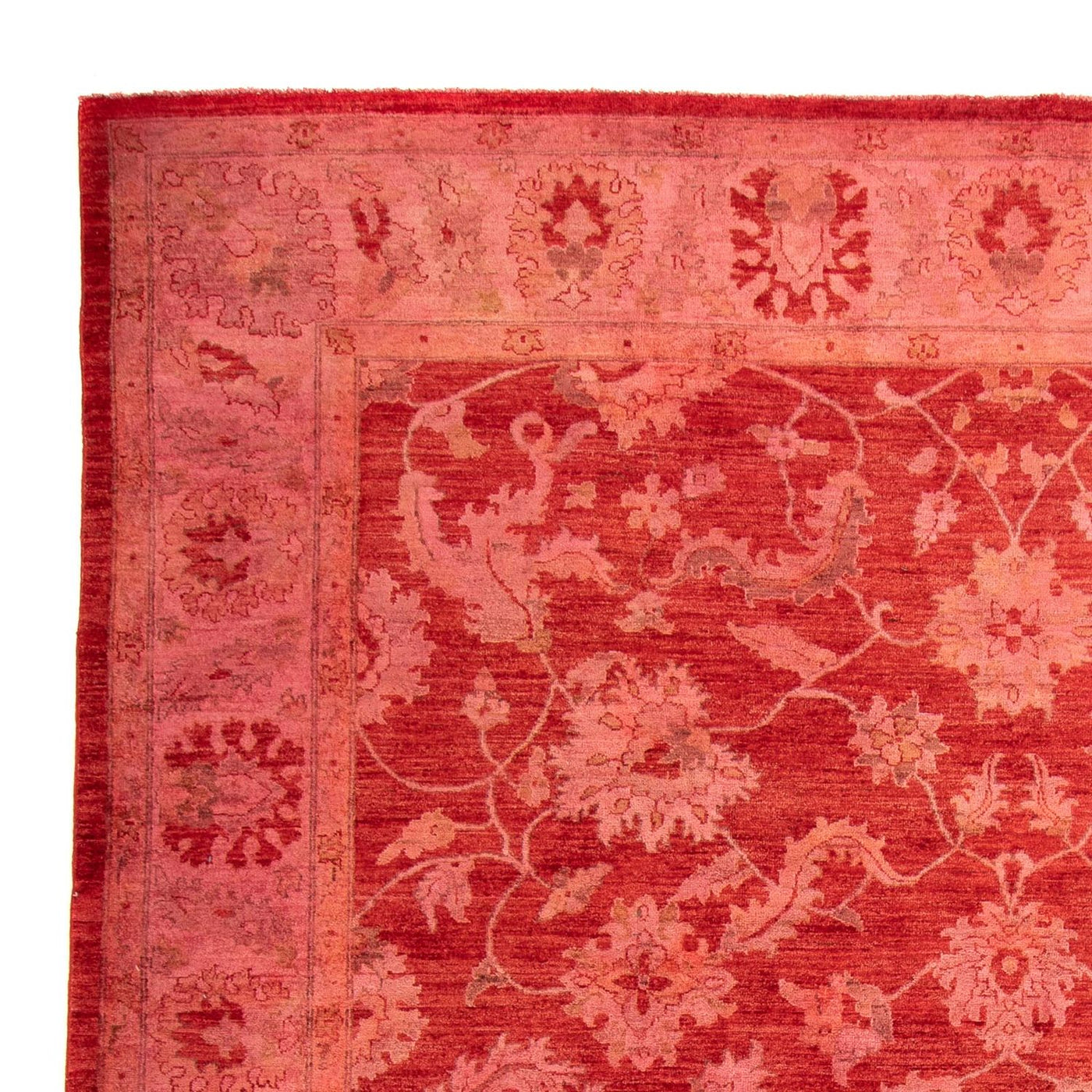 Dywan Zieglera 350x222cm - Dywan orientalny