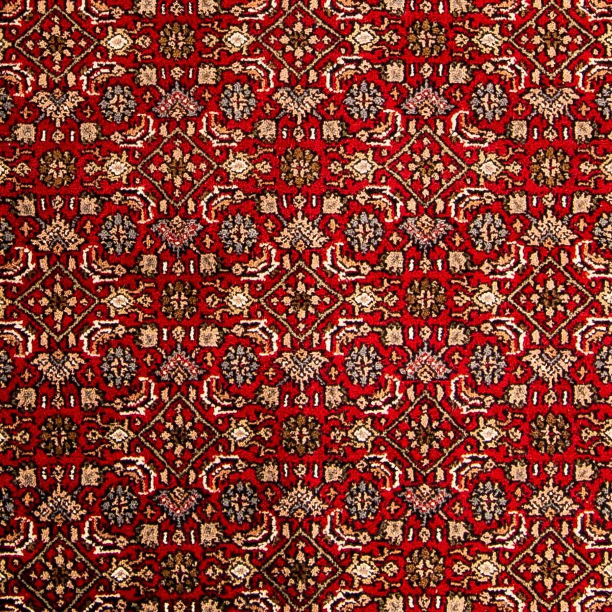 Orientalny dywan - Bijar - Indus - 300 x 200 cm - czerwony