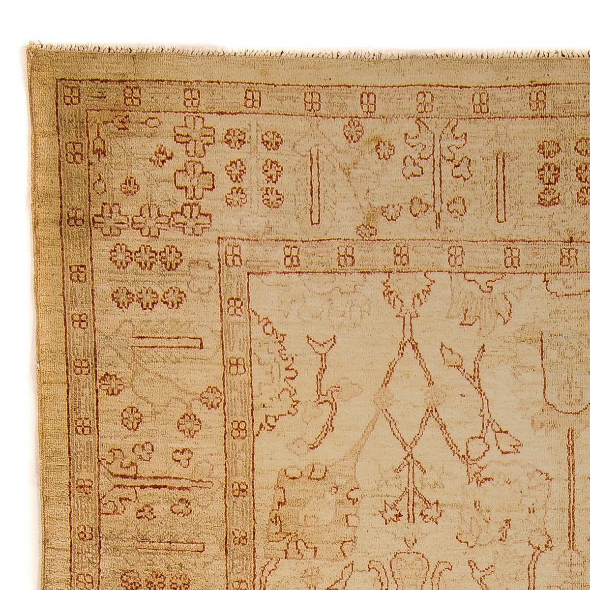 Dywan Zieglera - 247 x 173 cm - jasnobrązowy