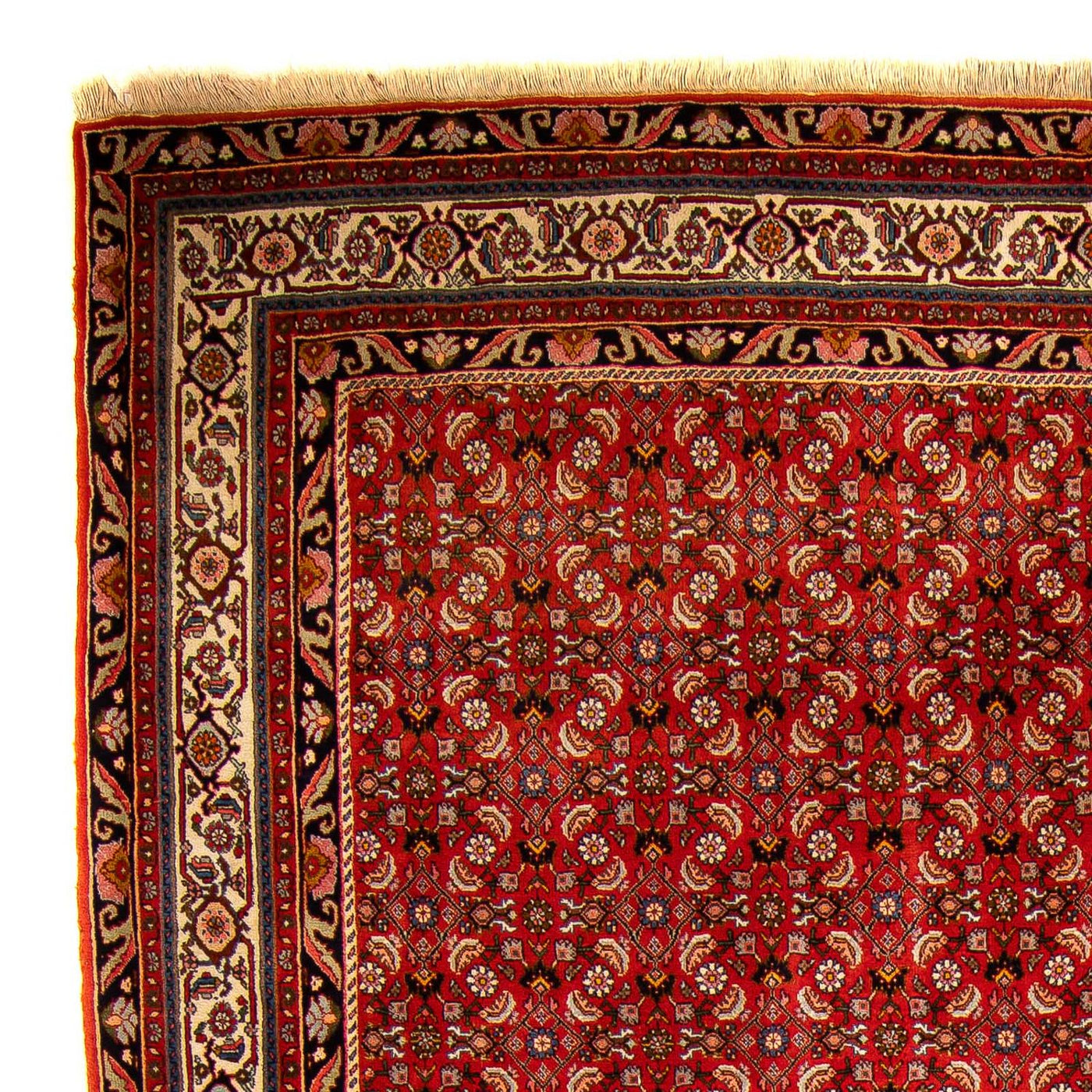 Bidjar Dywan 300x204cm - Dywan perski