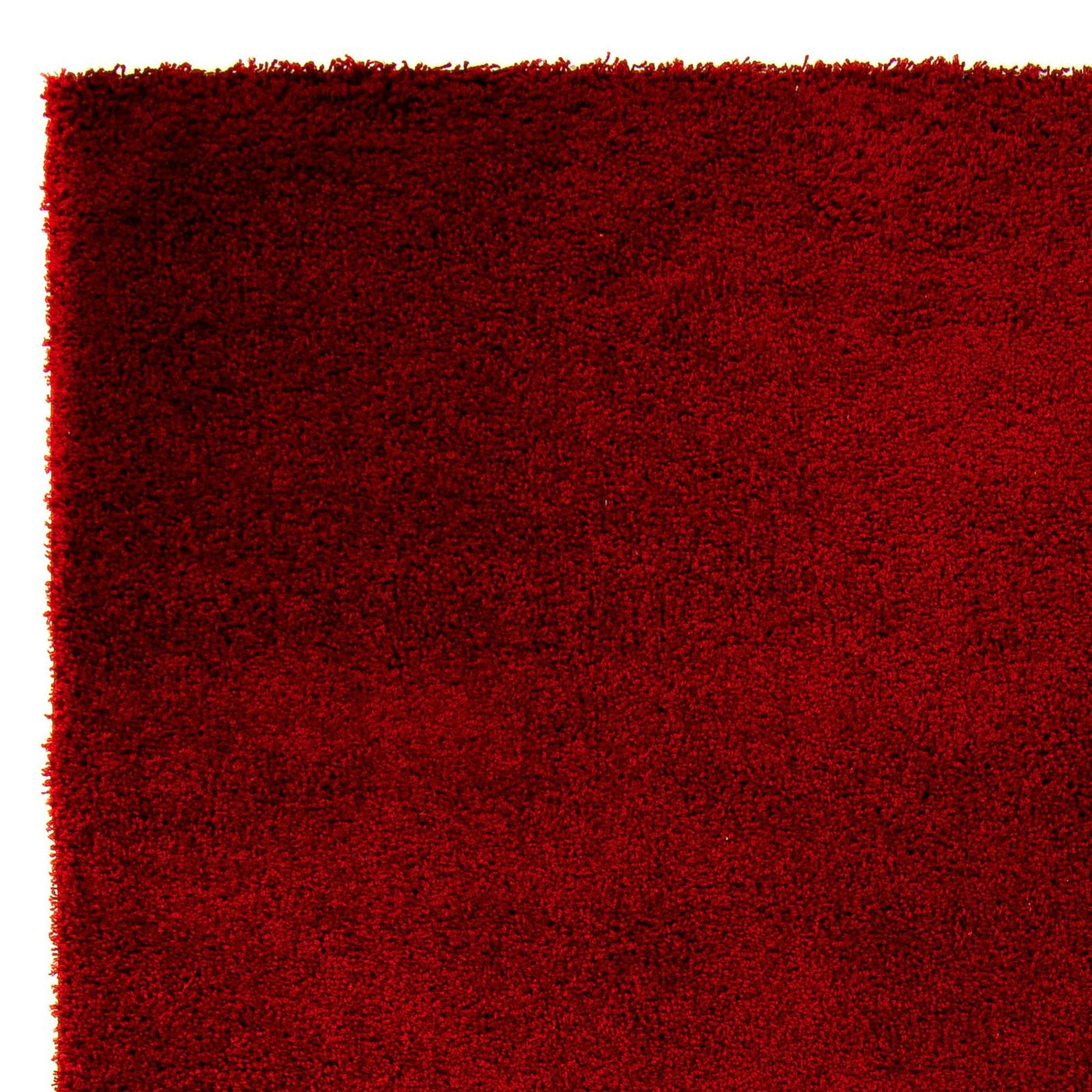 Shaggy Dywan 290x200cm - Shaggy Teppich