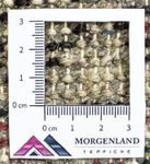 Dywan orientalny - 160 x 90 cm - czerwony