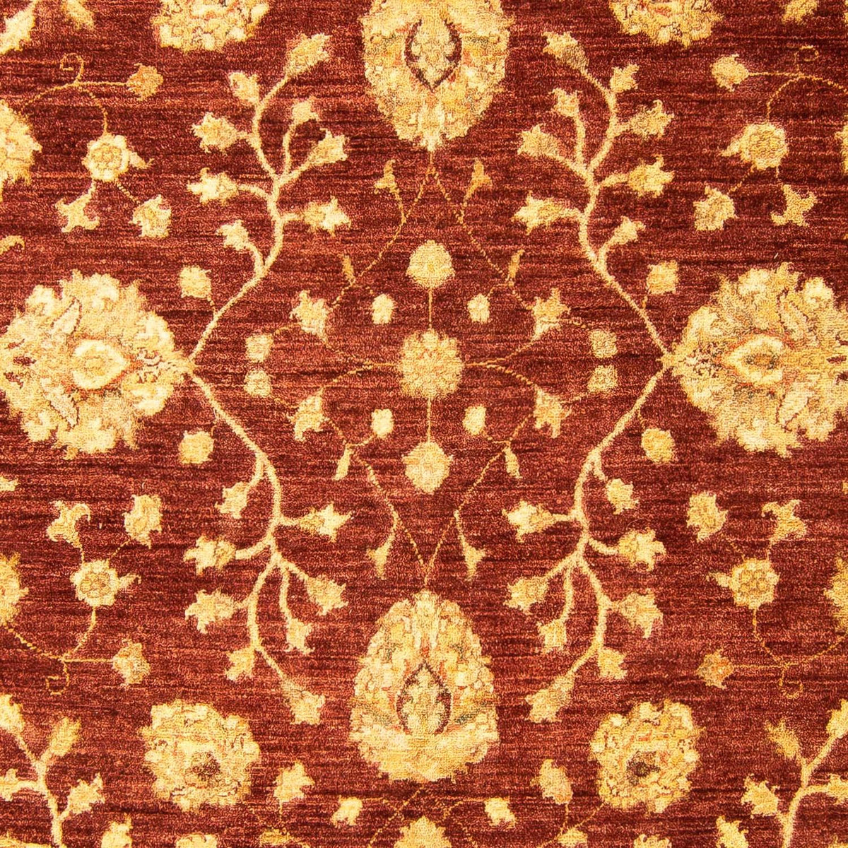 Dywan Zieglera - 270 x 195 cm - brązowy