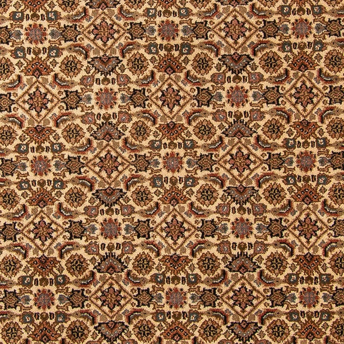 Orientalny dywan - Bijar - Indus - 309 x 250 cm - beżowy