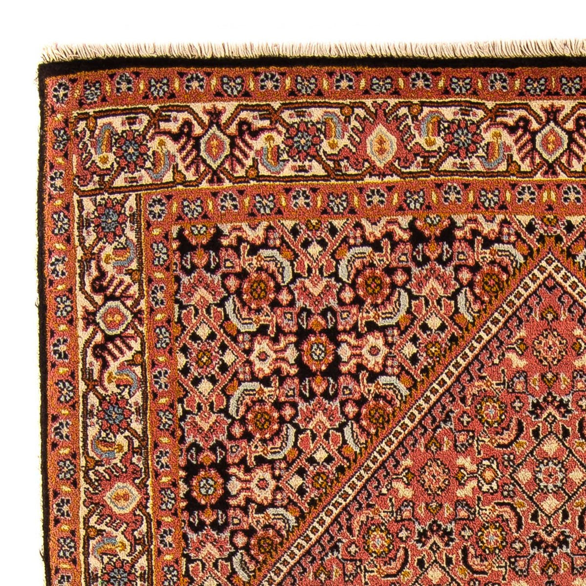 Bidjar - Bukan Dywan 88x143cm - Dywan perski