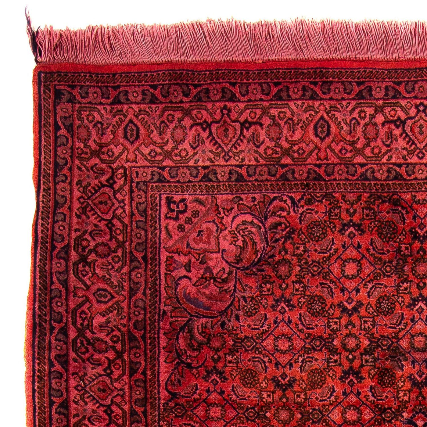 Bidjar Dywan 176x113cm - Dywan perski