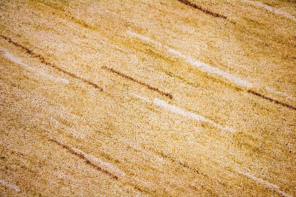 Dywan Gabbeh - Indus - 242 x 150 cm - wielokolorowy