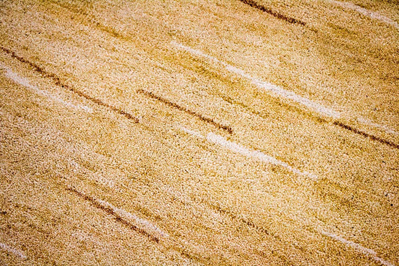 Dywan Gabbeh - Indus - 242 x 150 cm - wielokolorowy