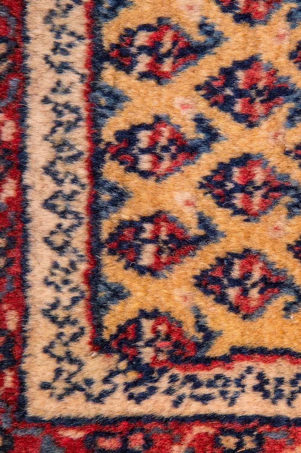 Perski dywan - Nomadyczny - 288 x 238 cm - beżowy