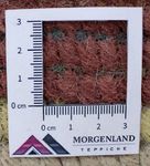 Dywan z Nepalu - 140 x 70 cm - wielokolorowy