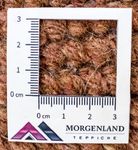 Dywan z Nepalu - 140 x 70 cm - brązowy