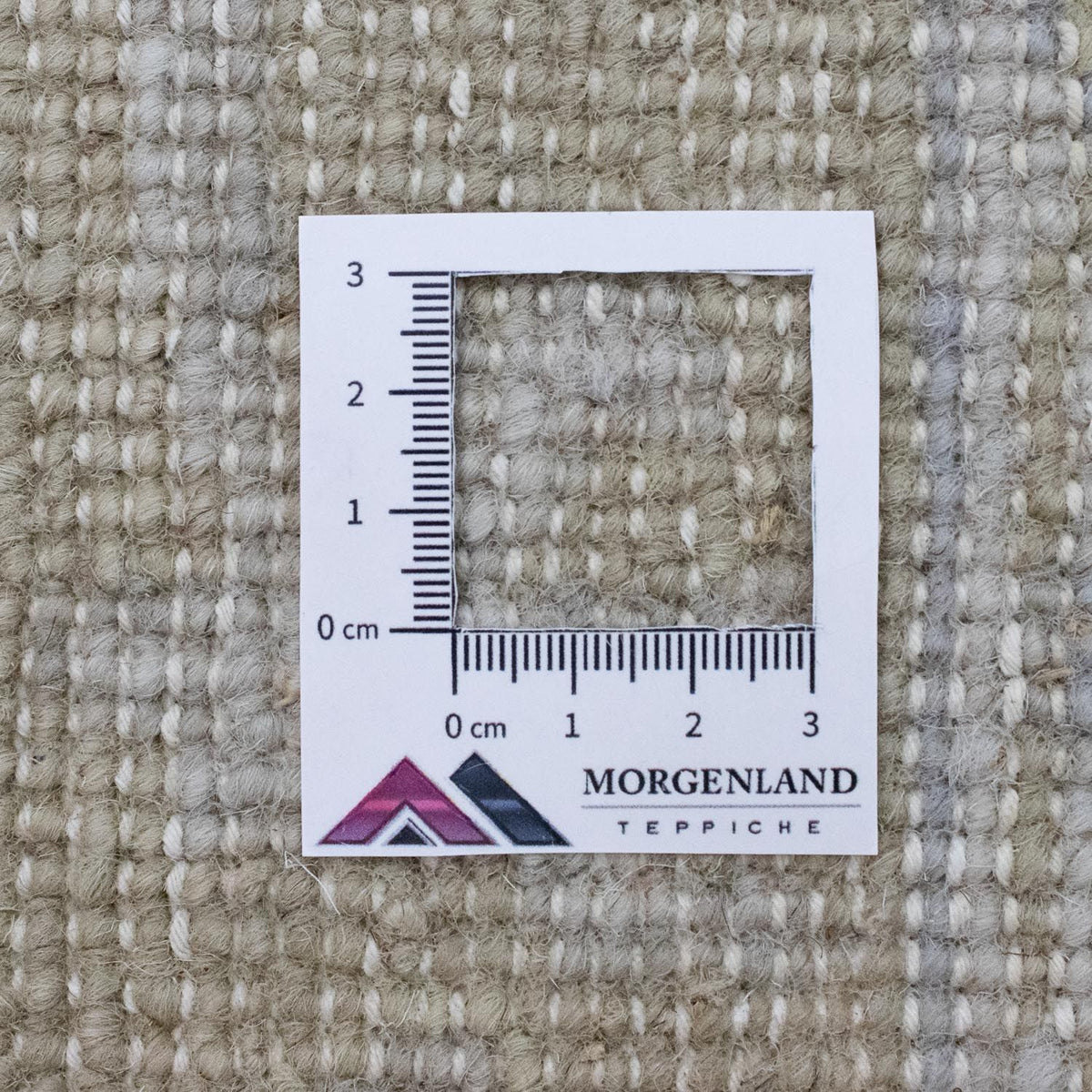 Designerski dywan - 270 x 173 cm - beżowy