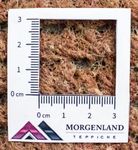 Dywan z Nepalu - 140 x 70 cm - brązowy