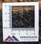 Dywan z Nepalu - 140 x 70 cm - wielokolorowy