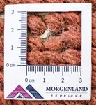 Dywan z Nepalu - 140 x 70 cm - wielokolorowy