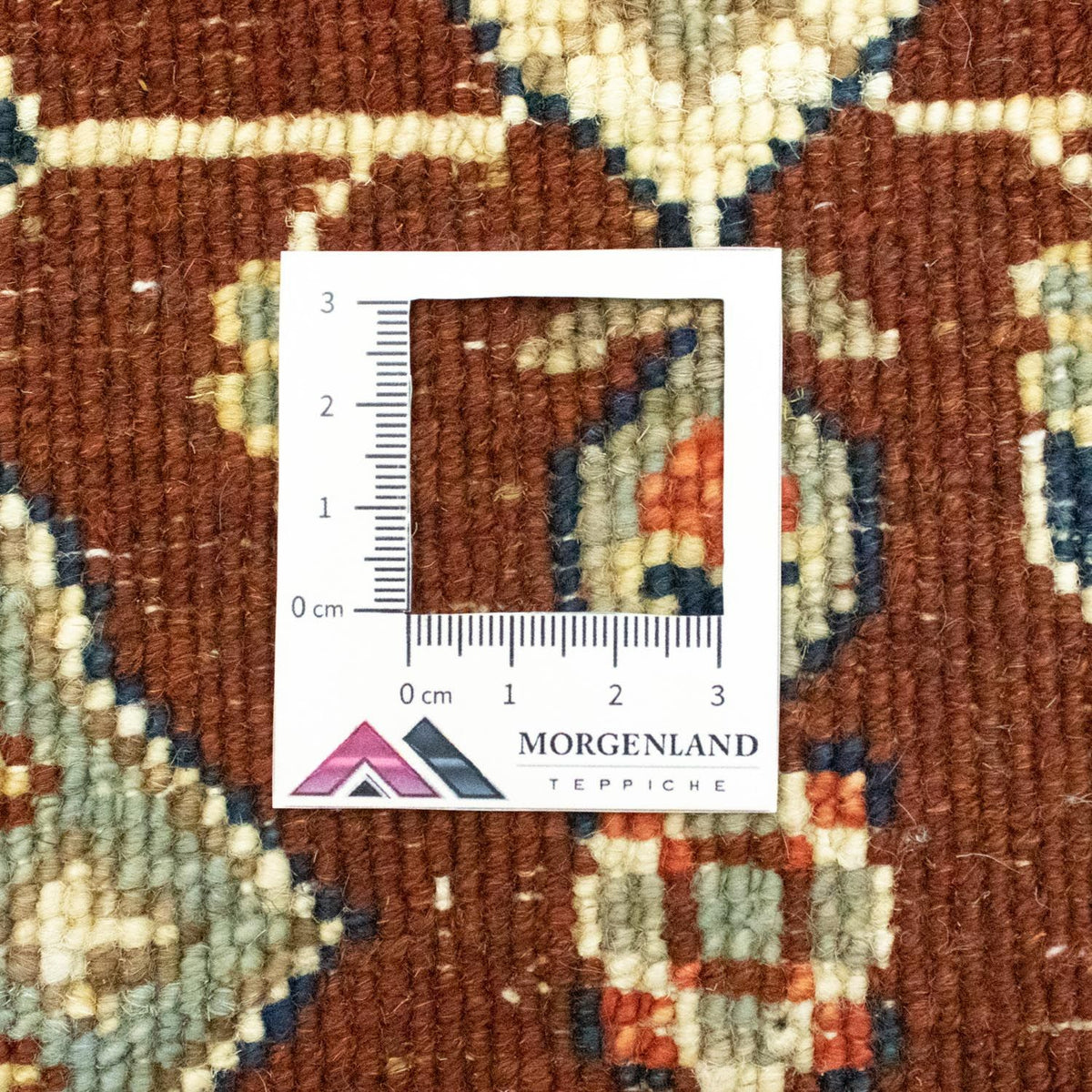 Dywan Ziegler - Modern - 150 x 85 cm - brązowy