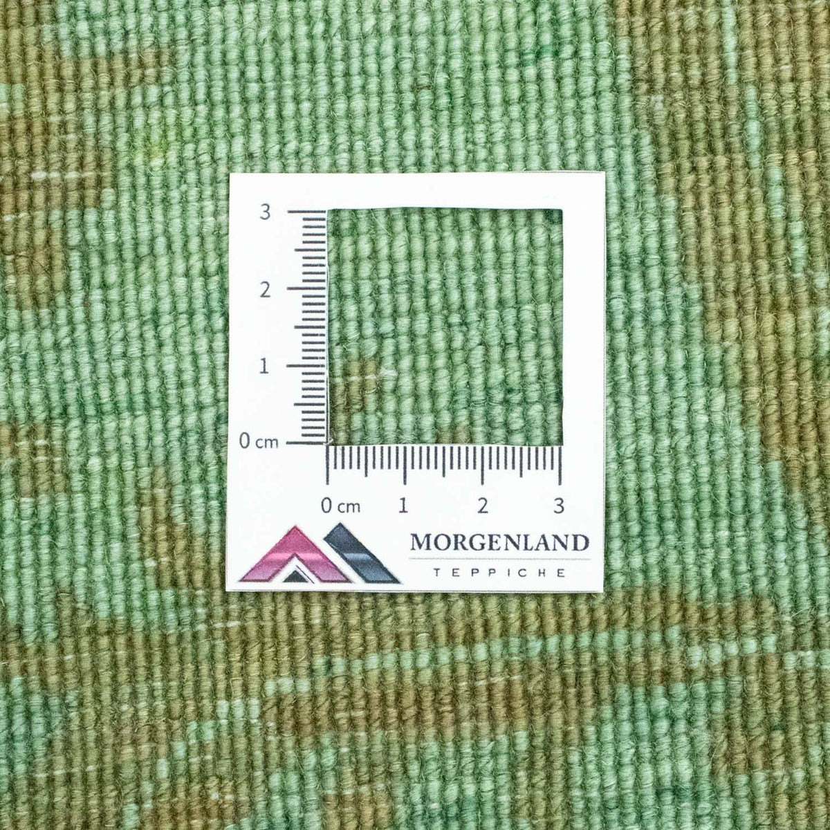 Dywan Ziegler - Modern - 123 x 75 cm - zielona