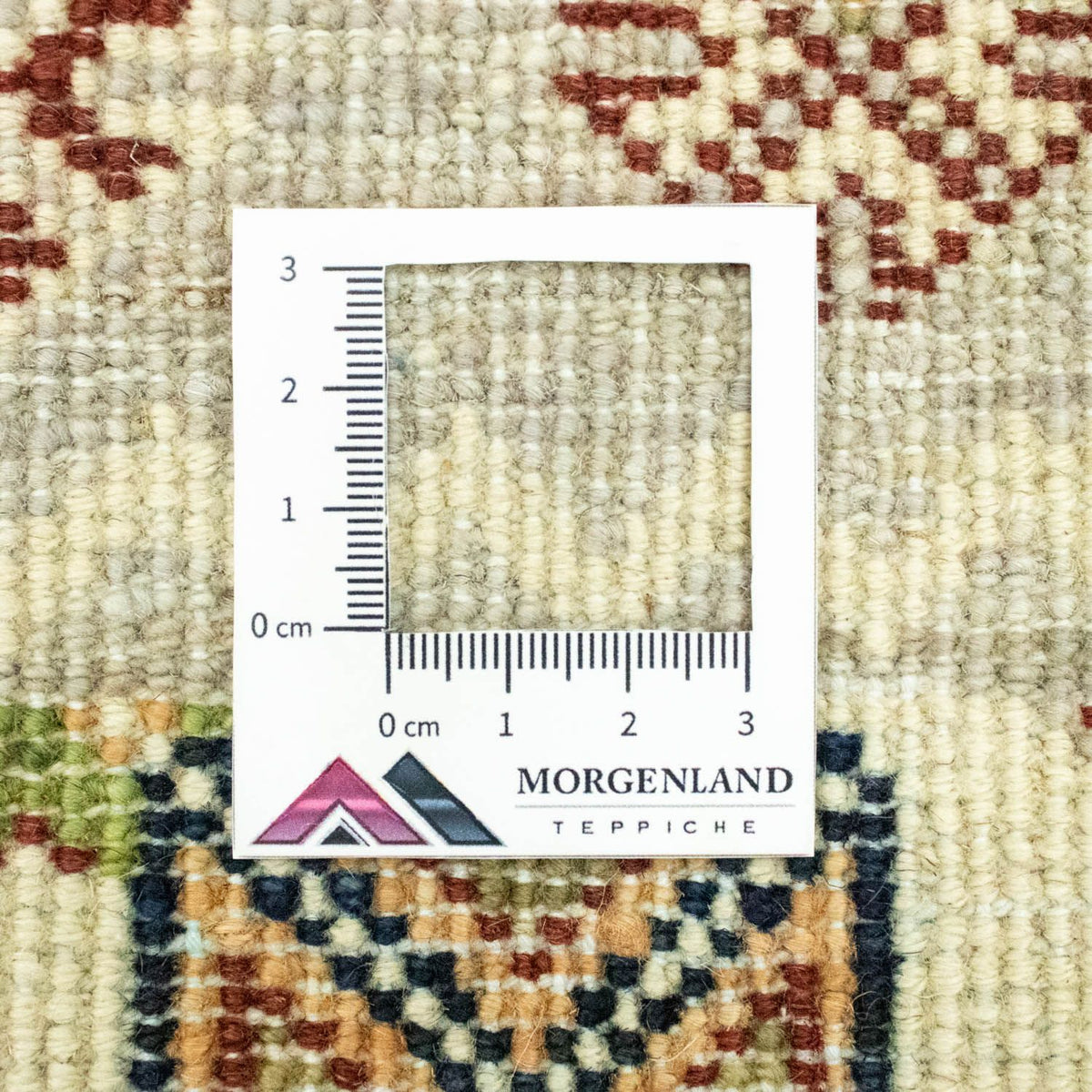 Dywan Ziegler - Modern - 124 x 80 cm - wielokolorowy