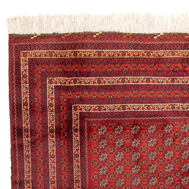 Afgański dywan - Bukhara - 300 x 200 cm - czerwony