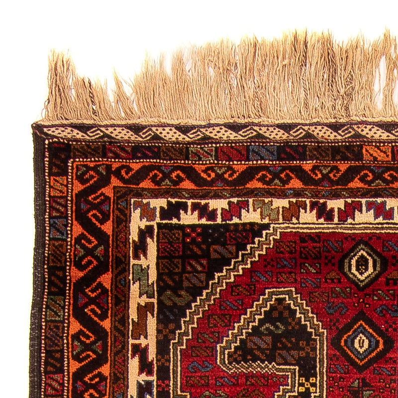 Biegacz Dywan beludżycki - 214 x 115 cm - wielokolorowy