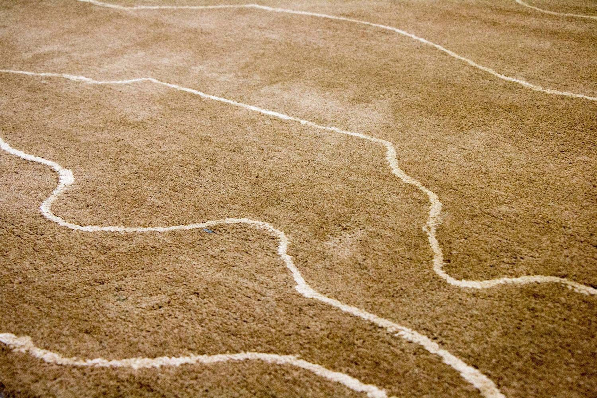 Designerski dywan - 240 x 151 cm - brązowy