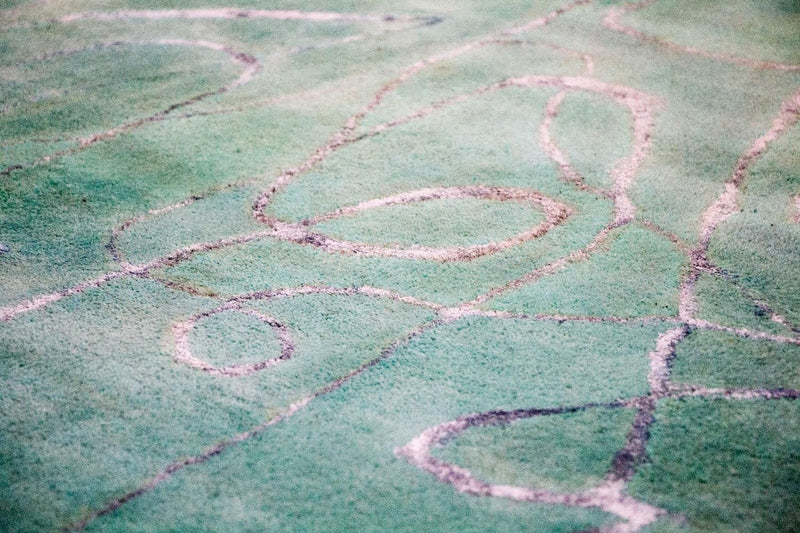 Designerski dywan - 244 x 154 cm - zielona