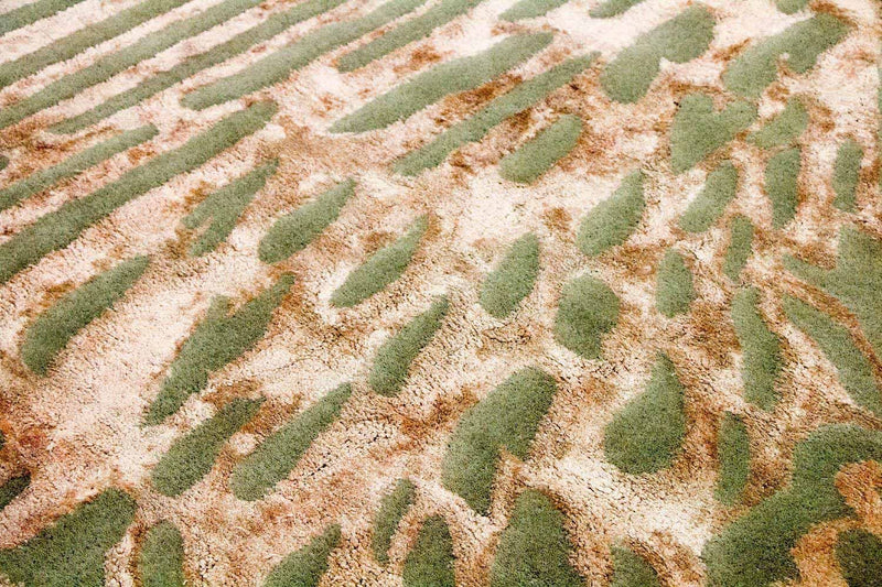 Designerski dywan - 240 x 152 cm - wielokolorowy