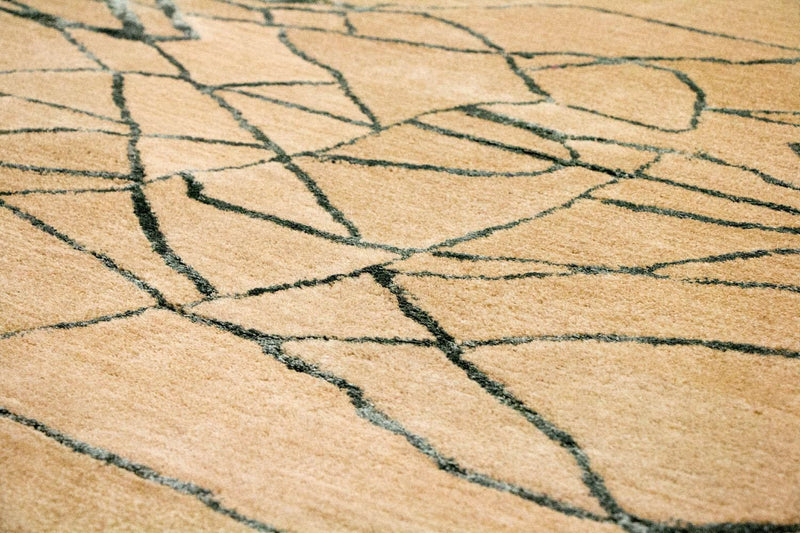 Designerski dywan - 243 x 152 cm - beżowy