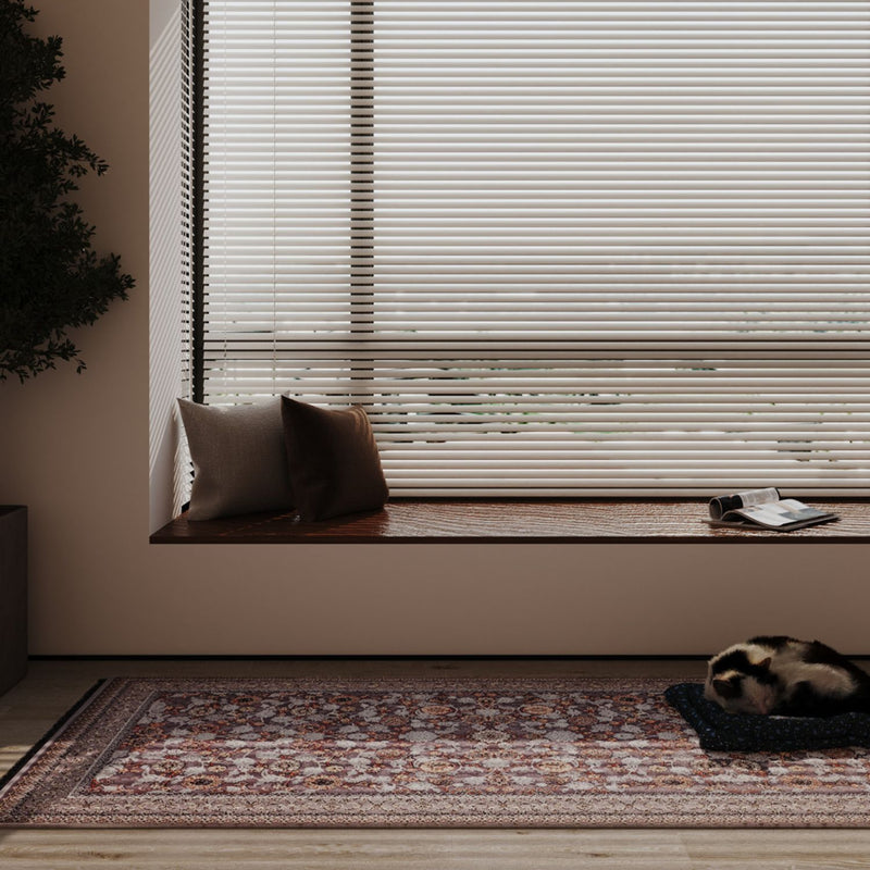 DKGY12-Dorsa-200x100