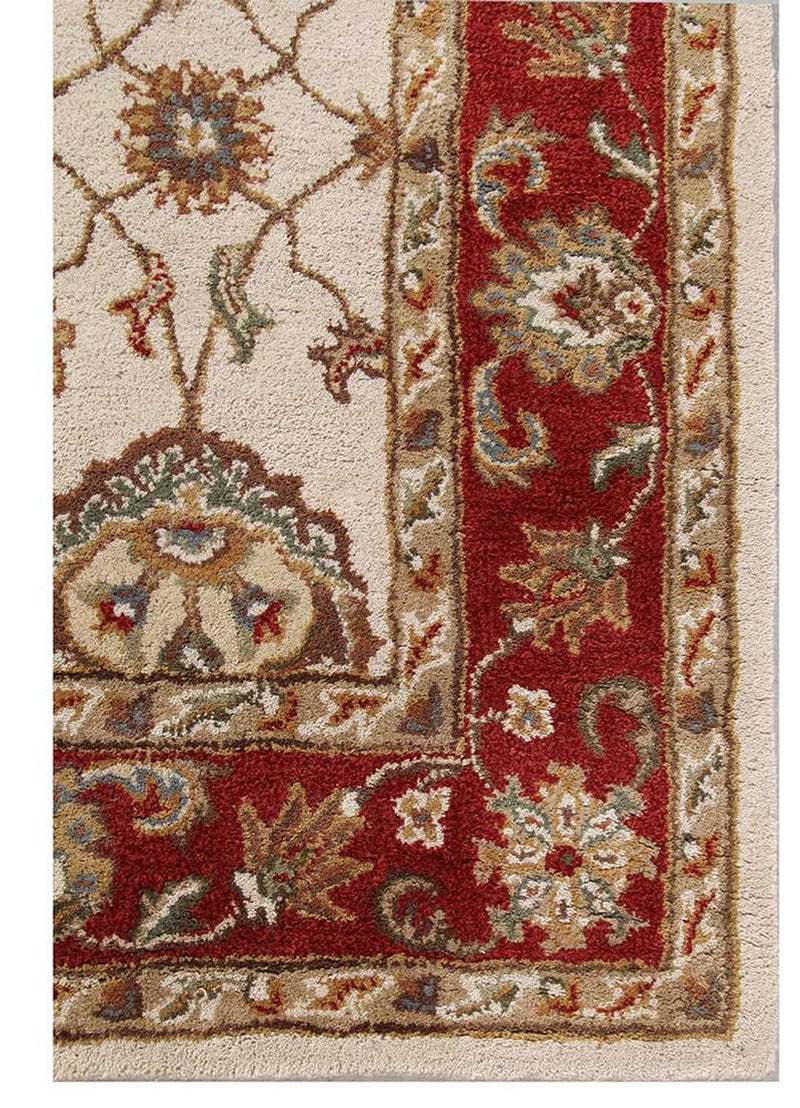 DP02-RUG1106835-180x120