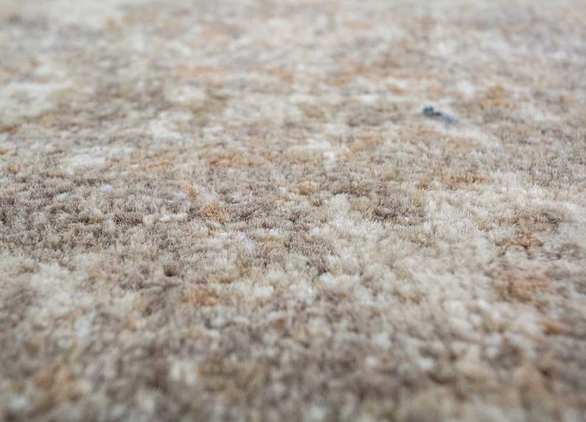 Dywan - 300 x 240 cm - ciemny beż