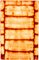 Dywan Vintage 183x118cm - Dywan Vintage