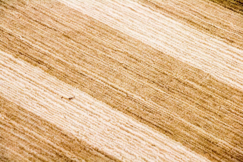 Dywan wełniany - 182 x 123 cm - wielokolorowy