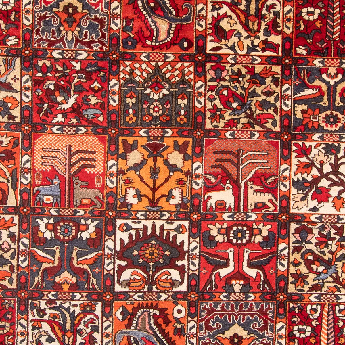 Perski dywan - Nomadyczny - 306 x 201 cm - czerwony