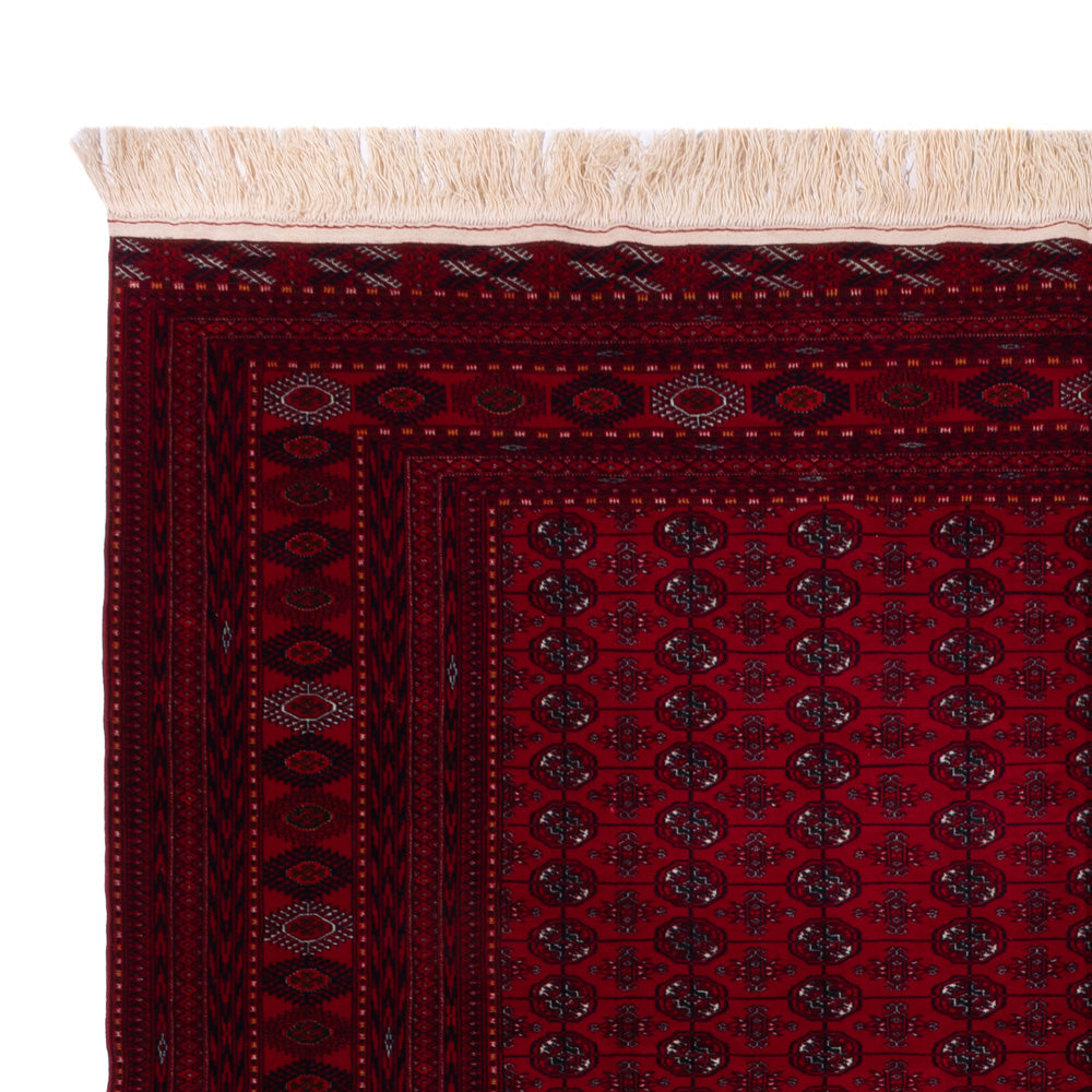 Bukhara Dywan 390x296cm - Dywan orientalny