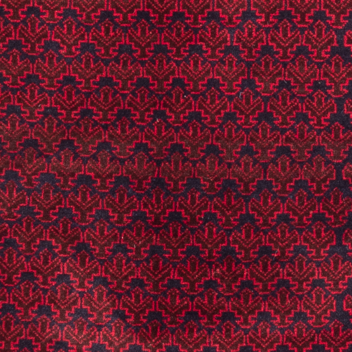 Dywan beludżycki - Dywanik modlitewny - 142 x 89 cm - niebieski