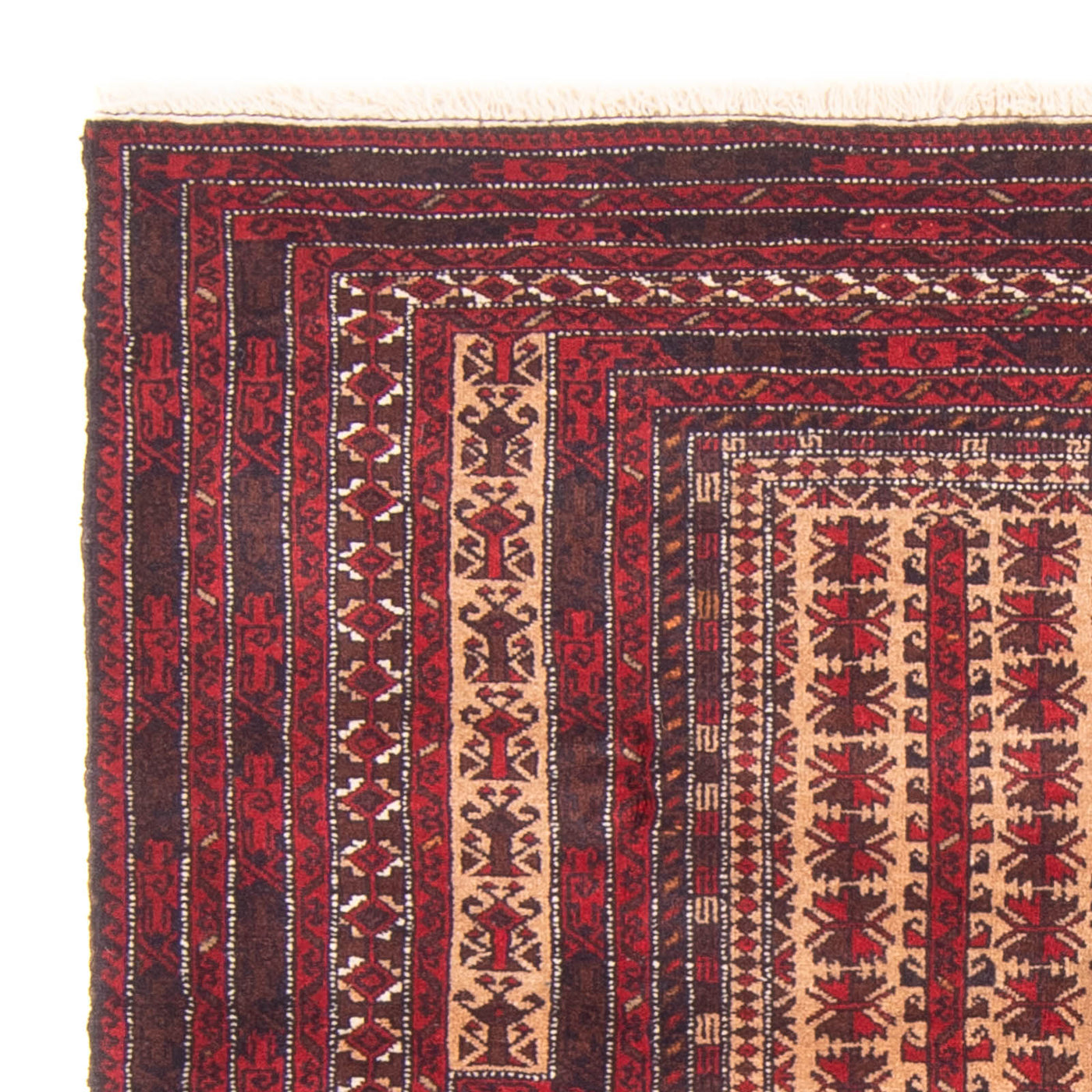 Dywan beludżycki 140x90cm - Dywan orientalny