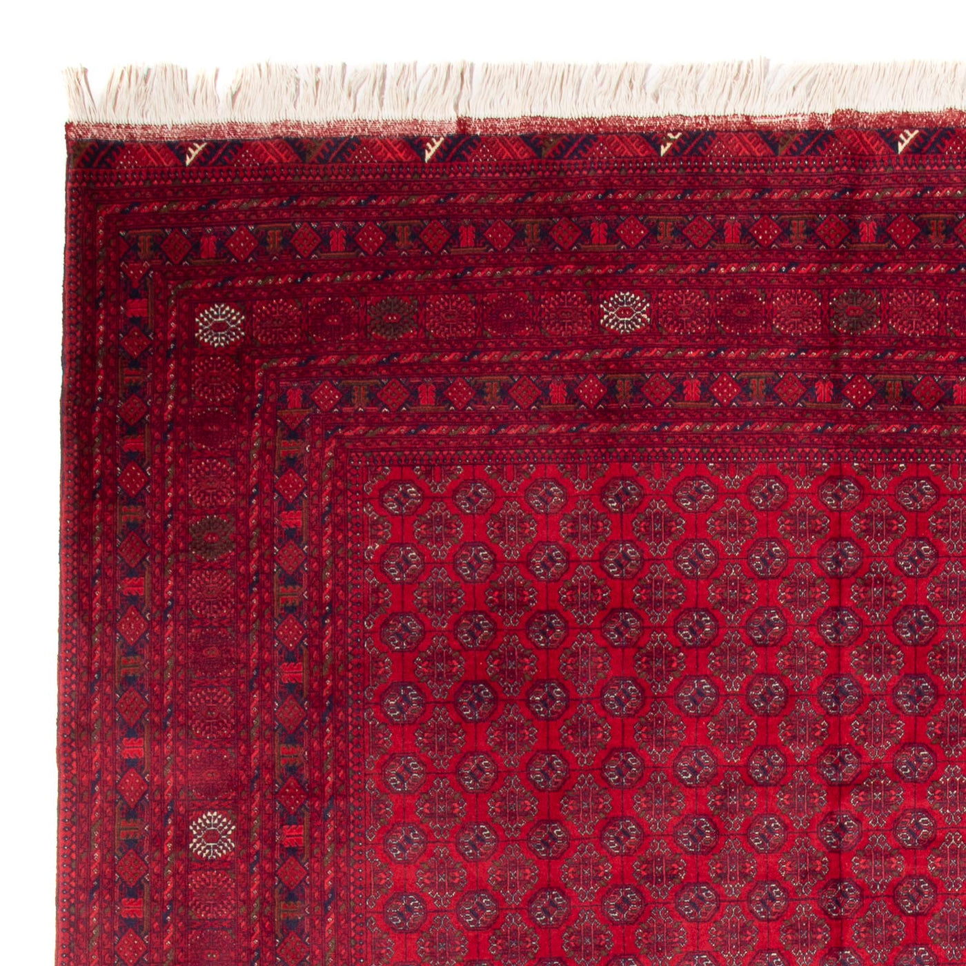 Bukhara Dywan 340x240cm - Dywan orientalny