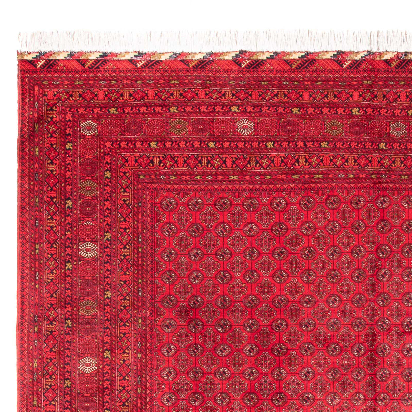 Bukhara Dywan 385x300cm - Dywan orientalny