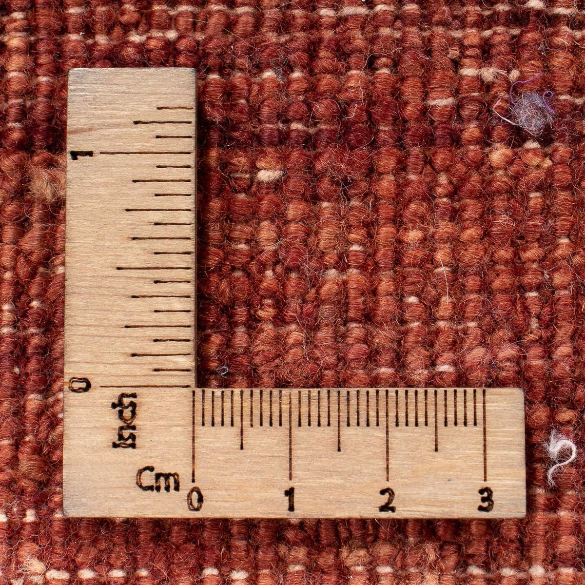 Dywan Ziegler - Modern kwadratowy  - 215 x 197 cm - niebieski