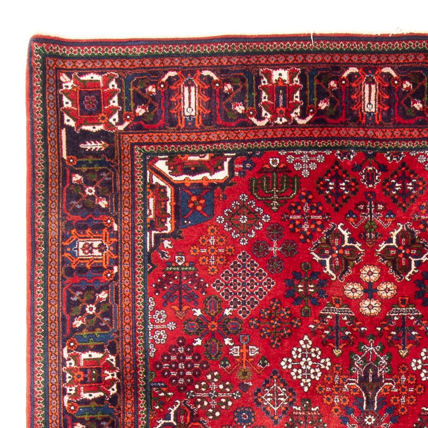 Shiraz Dywan 280x168cm - Dywan perski