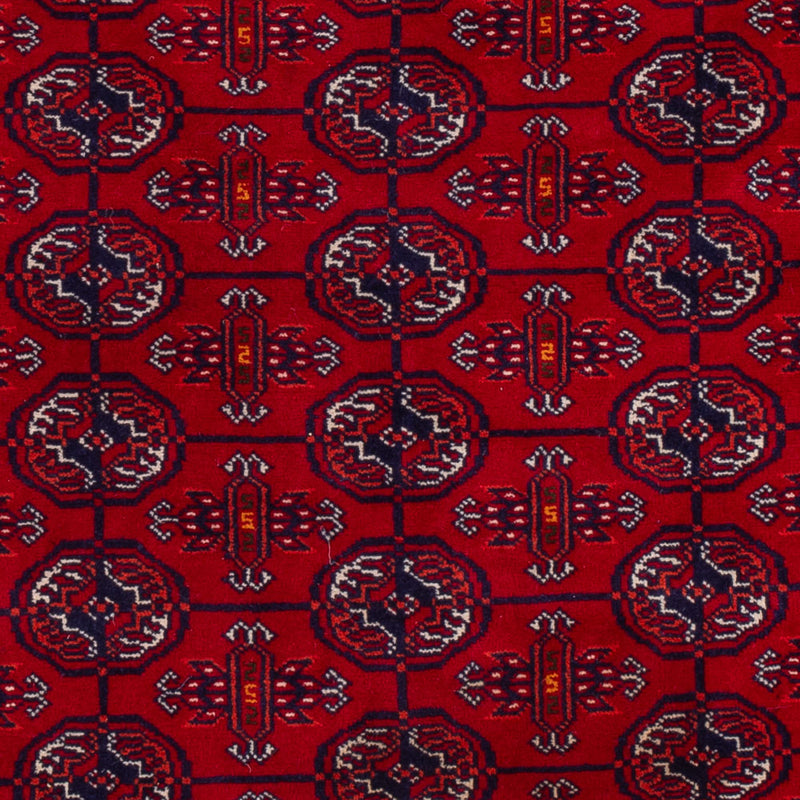 Afgański dywan - Bukhara - 196 x 133 cm - ciemna czerwień