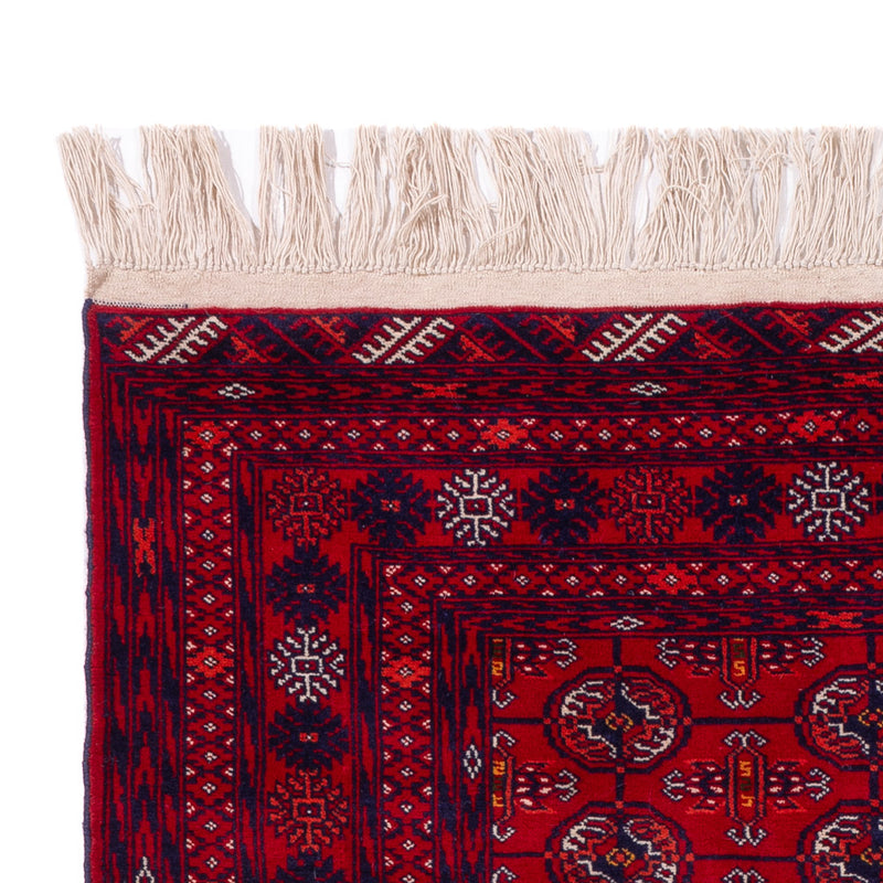 Afgański dywan - Bukhara - 189 x 133 cm - ciemna czerwień