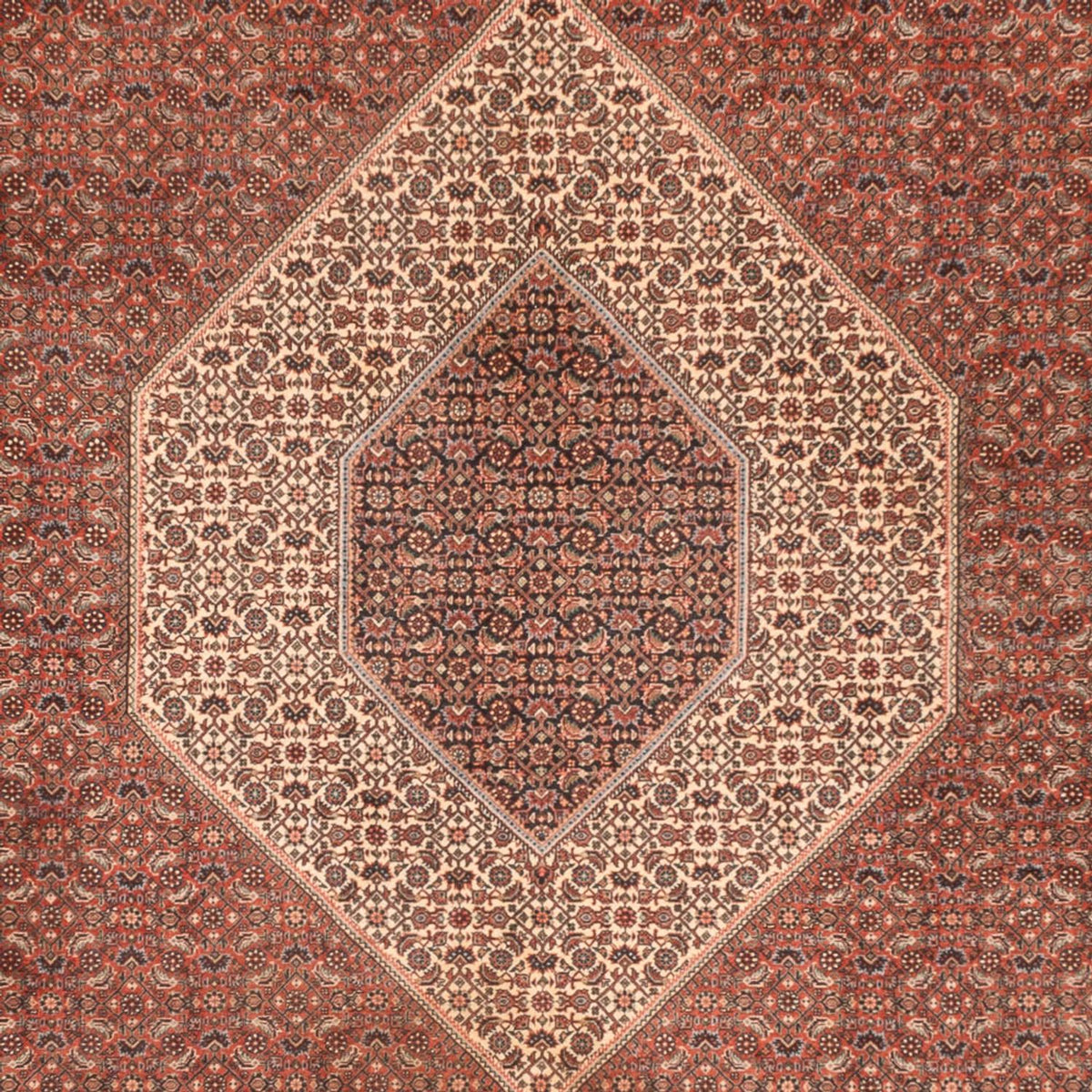 Perski dywan - Bijar - Royal - 300 x 255 cm - rdza